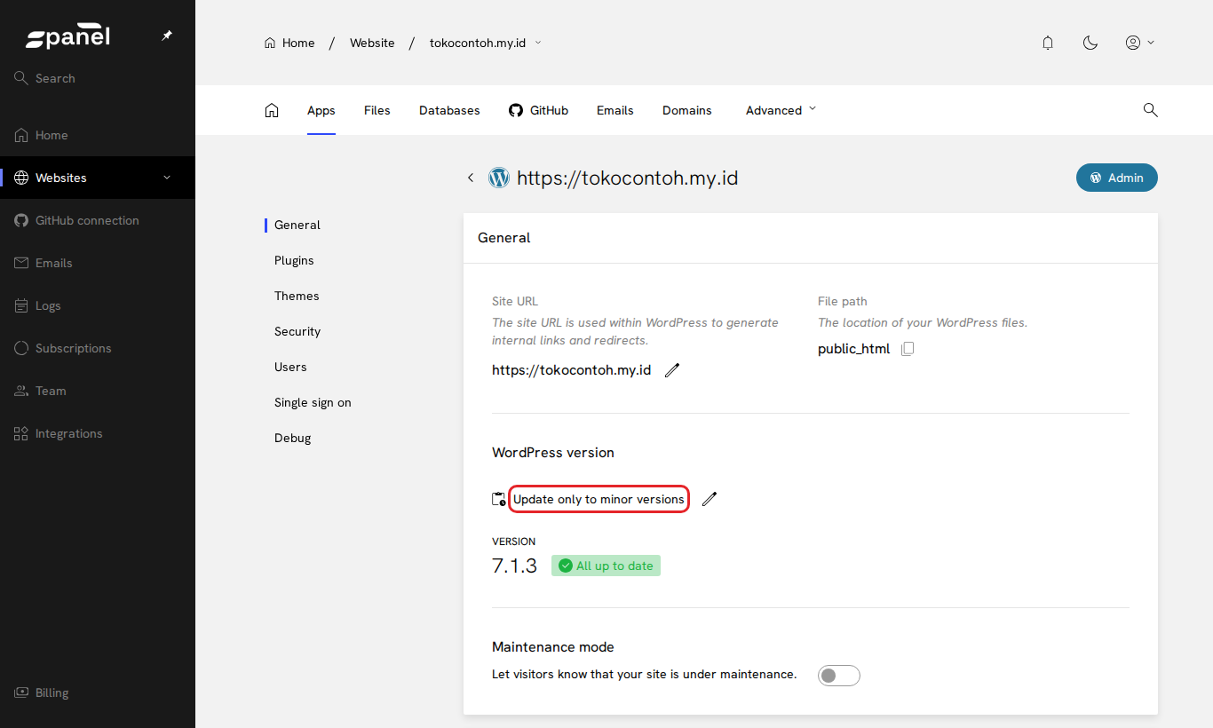Pengaturan update WordPress